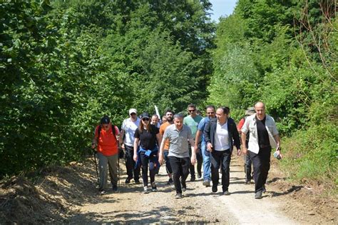 Düzce’daki Doğa Yürüyüşü yollar
