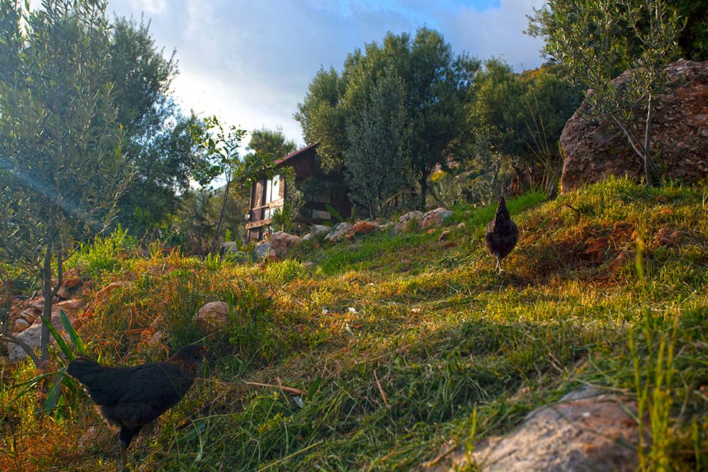 antalya kamp antalya kamp