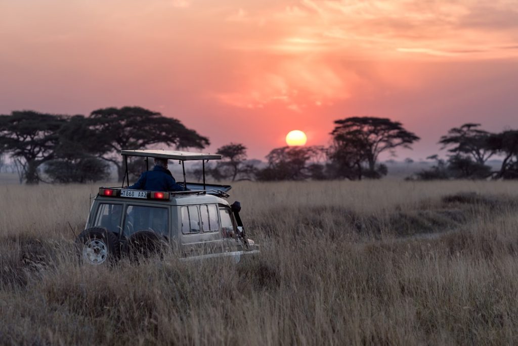 Afrika Safarisi: Vahşi Doğanın Kalbinde Unutulmaz Bir Deneyim