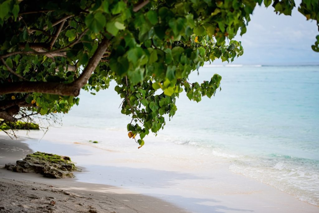 Maldive Adaları’nda Lüks Plaj Tatili Rehberi