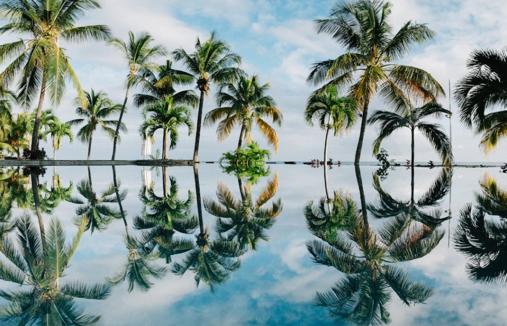 Mauritius Gezilecek Yerler Şehirler ve Yapılabilecekler